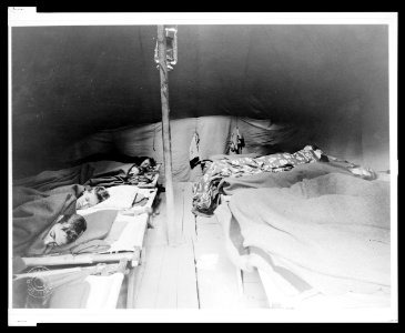 Tent A before reveille, Camp Ranachqua, BSA LCCN2005691133