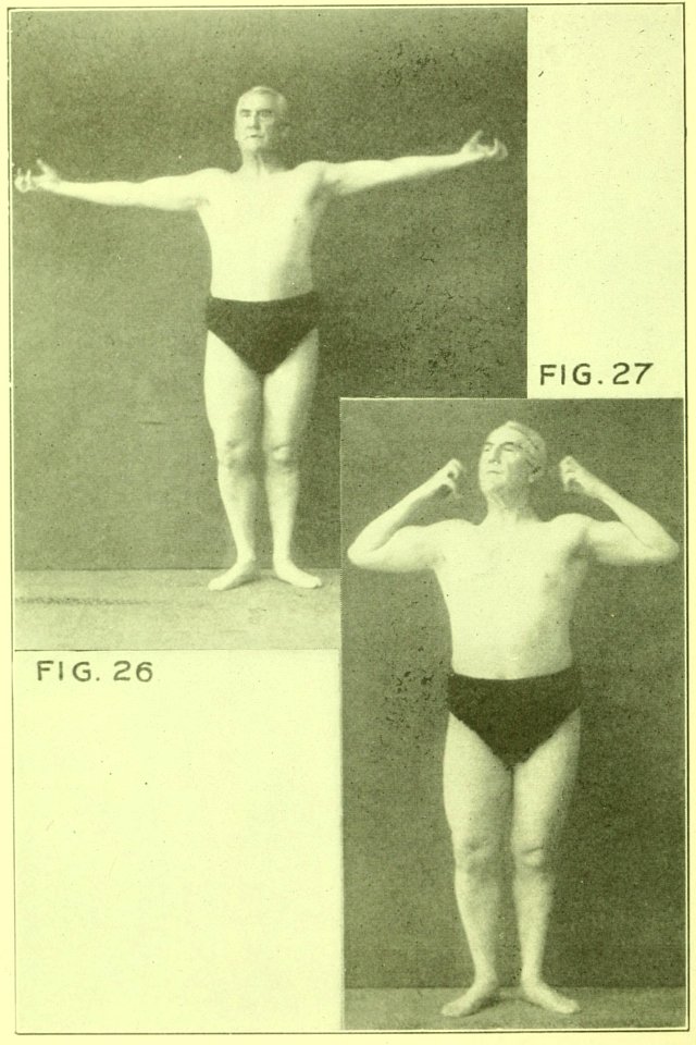 Tensing Exercises Fig26
