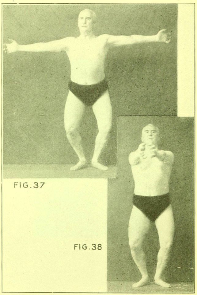 Tensing Exercises Fig37