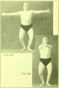 Tensing Exercises Fig37