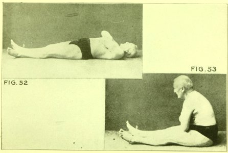Tensing Exercises Fig52
