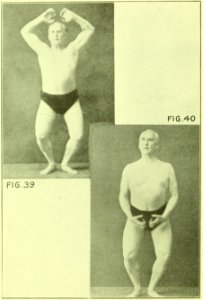 Tensing Exercises Fig39