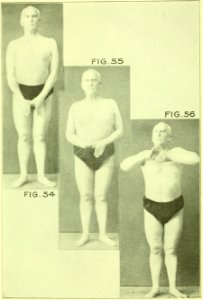 Tensing Exercises Fig54