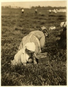 Teresa Lamelli, 818 Kate St., Philadelphia, 5 years old. Whites Bog, Browns Mills, N.J. Sept. 28, 1910. Witness E.F. Brown. LOC nclc.00065