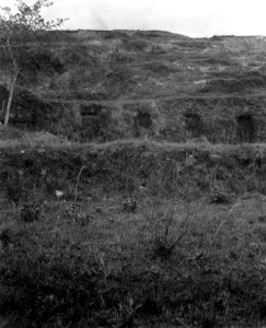 Terasser med nischer. Detalj från det skulpterade berget. Lokal, Samaipata, SV - SMVK - 005867