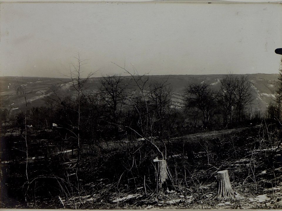 Terrain gegen Norden. (Now.Poszajew) Lopuszno, 30.I.1916. (BildID 15454006)