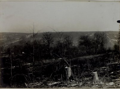 Terrain gegen Norden. (Now.Poszajew) Lopuszno, 30.I.1916. (BildID 15454006)