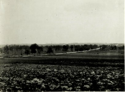 Terrain südlich Stryj. (BildID 15591250)