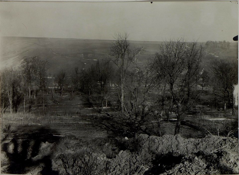Terrain gegen Norden. (Now.Poszajew) Lopuszno, 30.I.1916. (BildID 15454013)