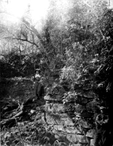 Terrasserna i urskogen. på bilden syns Olga Nordenskiöld - SMVK - 005800