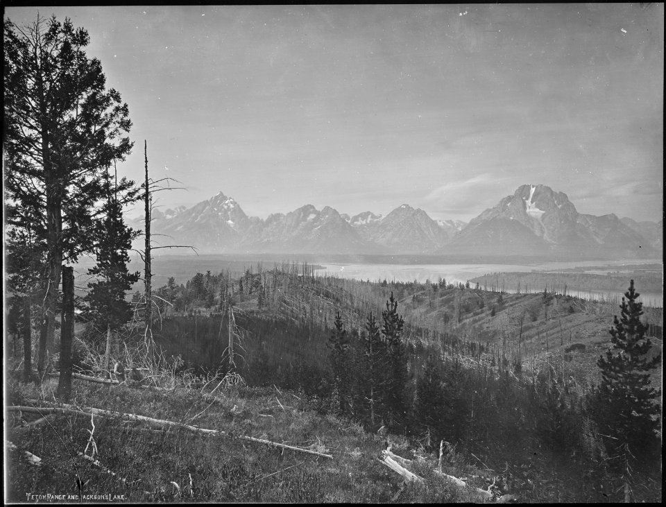 Teton range and Jackson Lake, Wyoming - NARA - 517661