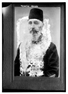 Tewfik Pasha LCCN2014690975