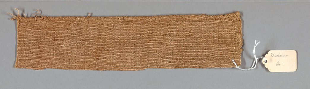 Textile Swatch, 1910–20 (CH 68862875)