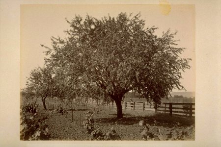 Tf0p300662-FID4