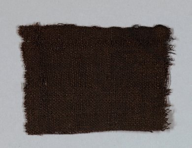 Textile Swatch, 1910–20 (CH 68862891)