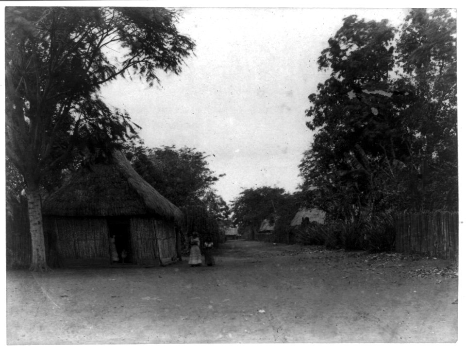 Thatched house in town on Pacific coast of Nicaragua with four natives standing nearby LCCN89714823