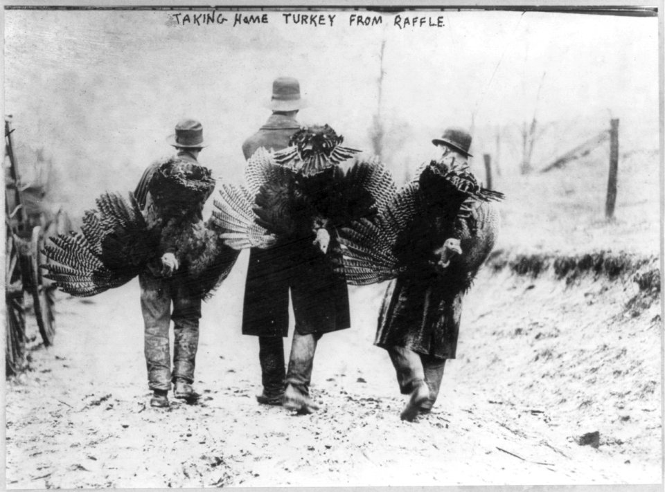 Thanksgiving - taking home turkies from raffle LCCN2003655401
