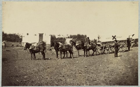 The crack team of the 6th Army Corps near Hazel River, Va., March, 1864 LCCN2012650255