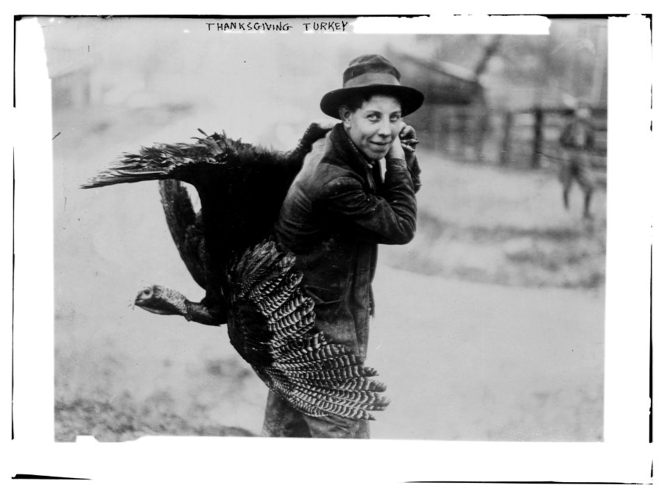 Thanksgiving turkey LCCN2014691242