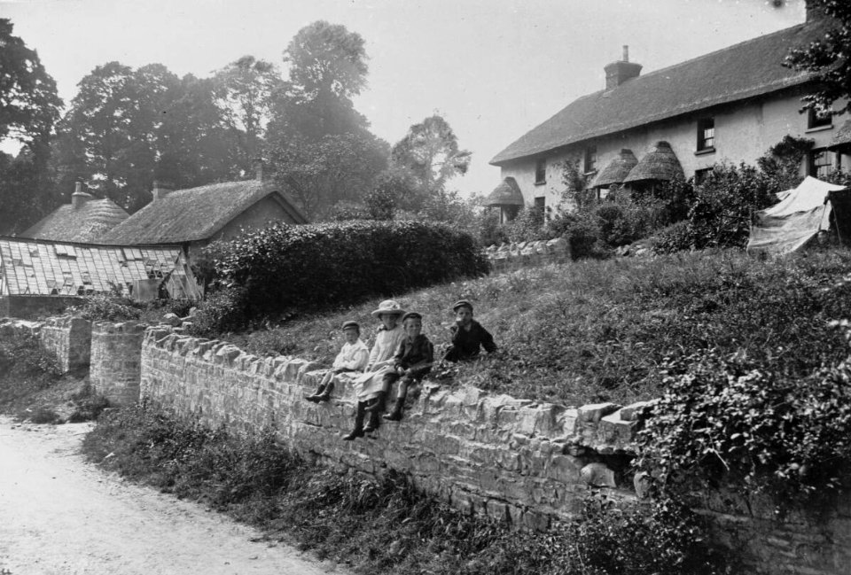 Thatched cottages (4785856)