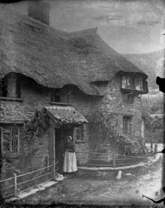 Thatched house (4641149)