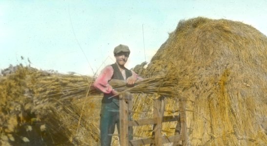 Thatch is Home Grown 4815808202 o