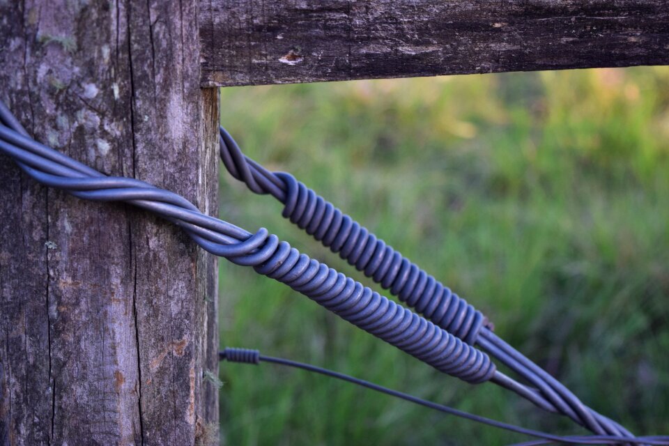 Portress wire field