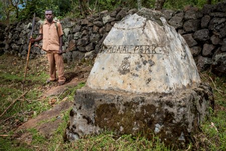 The 'Buffalo Wall' bordering Mgahinga Gorilla National Park photo