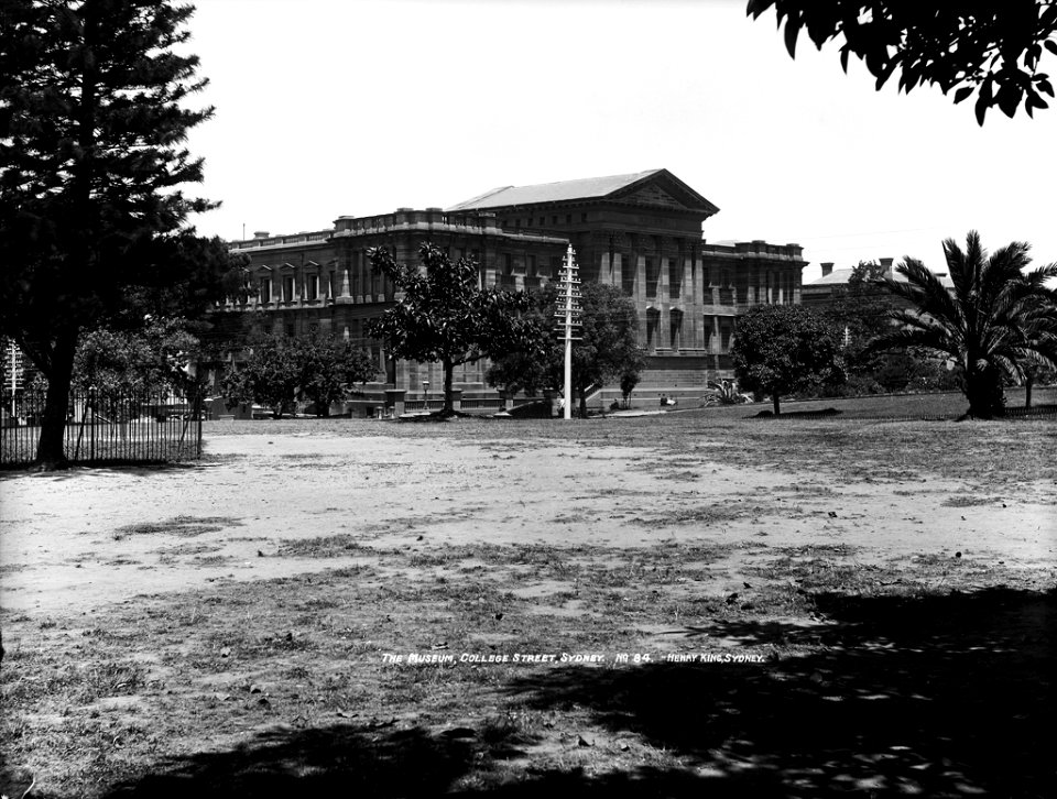 The (Australian) Museum, College Street, Sydney from The Powerhouse Museum Collection
