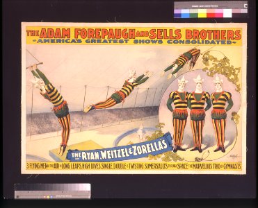 The Adam Forepaugh and Sells Brothers, America's greatest shows consolidated-the Ryan, Weitzel & Zorella's LCCN2007682627