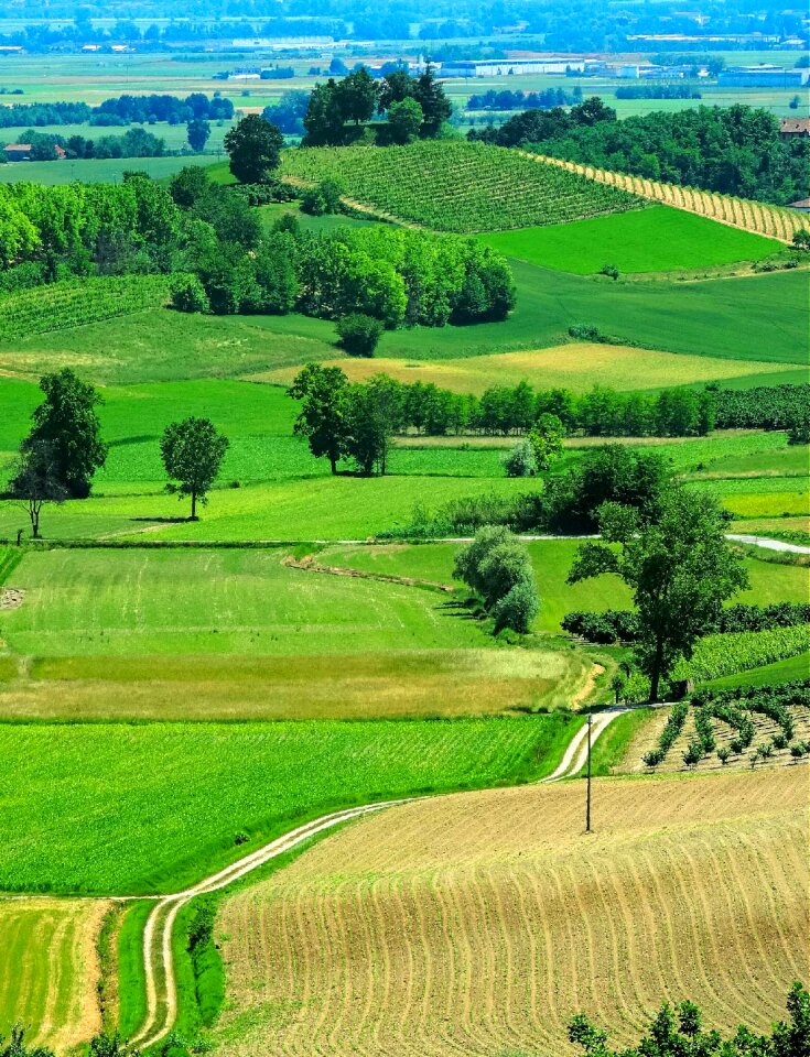 Italy meadows prato