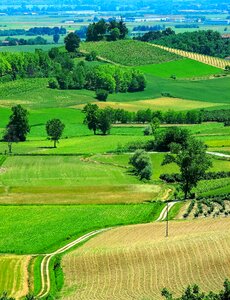 Italy meadows prato photo