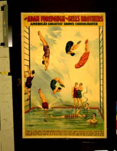 The Adam Forepaugh and Sells Brothers America's greatest shows consolidated-A troupe of pearl divers from Hawaii, Sandwich Islands ... A veritable circus of the sea LCCN98500091