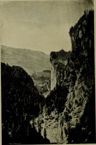 The American annual of photography (1892) (14804349763)