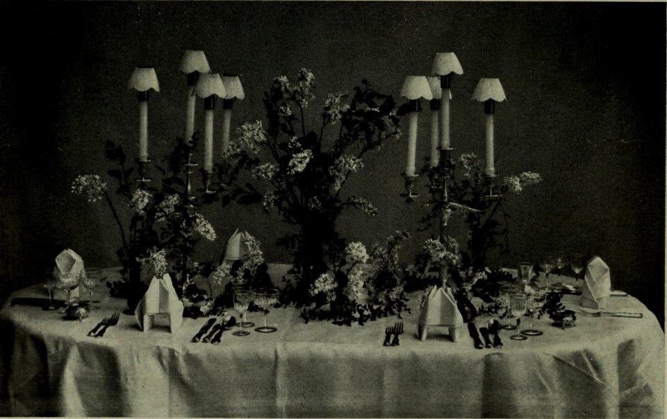 The American annual of photography (1911) (14596763730)