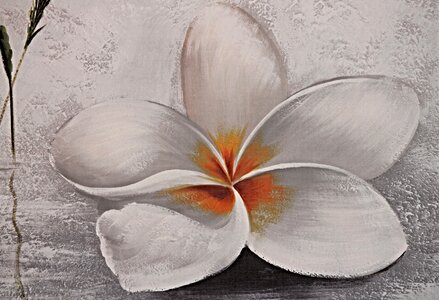 Mural flower picture painted