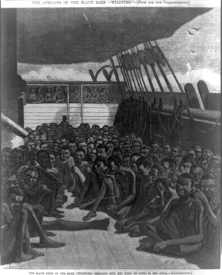 The Africans of the slave bark Wildfire-The slave deck of the bark Wildfire, brought into Key West on April 30, 1860 LCCN98501624