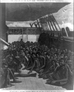 The Africans of the slave bark Wildfire-The slave deck of the bark Wildfire, brought into Key West on April 30, 1860 LCCN98501624