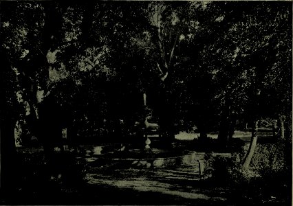 The American annual of photography (1892) (14597853399)