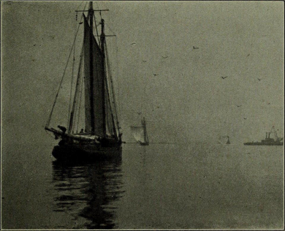 The American annual of photography (1911) (14783308575)