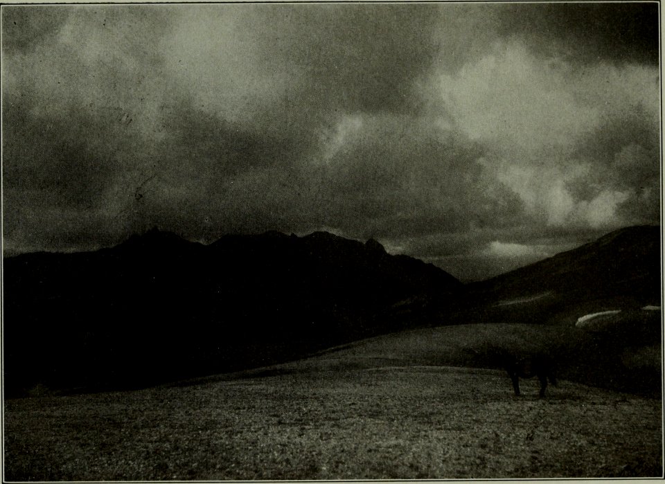 The American annual of photography (1911) (14780142601)