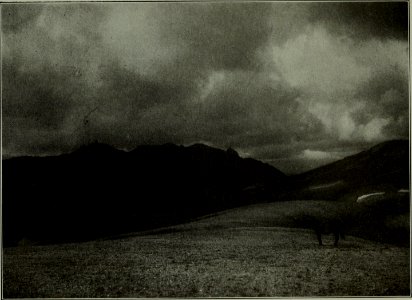 The American annual of photography (1911) (14780142601)