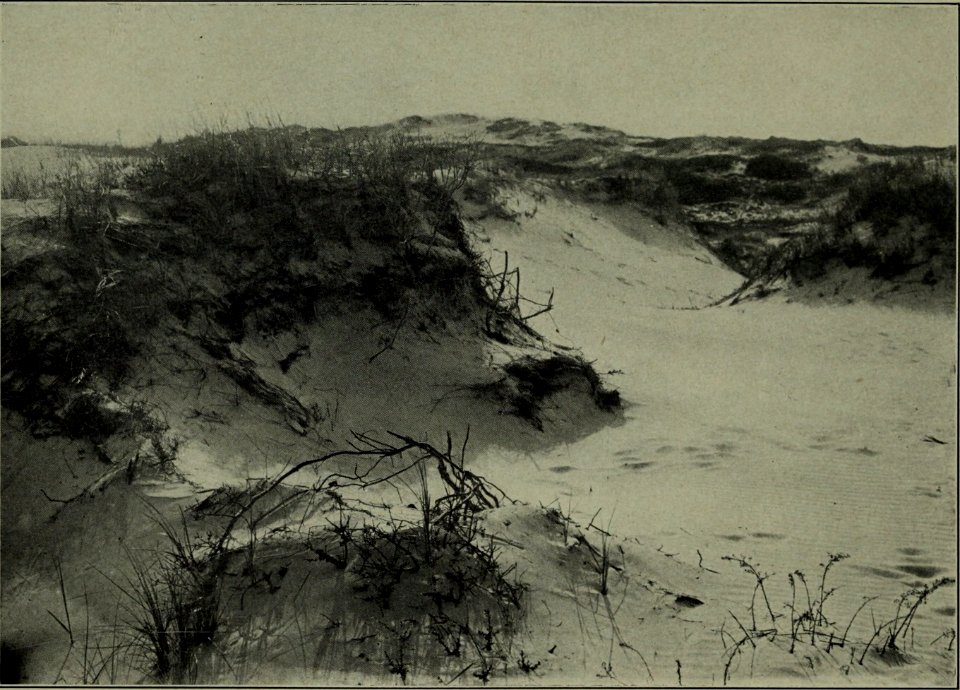 The American annual of photography (1911) (14596716278)