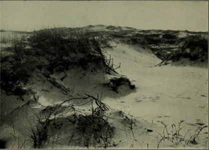 The American annual of photography (1911) (14596716278)