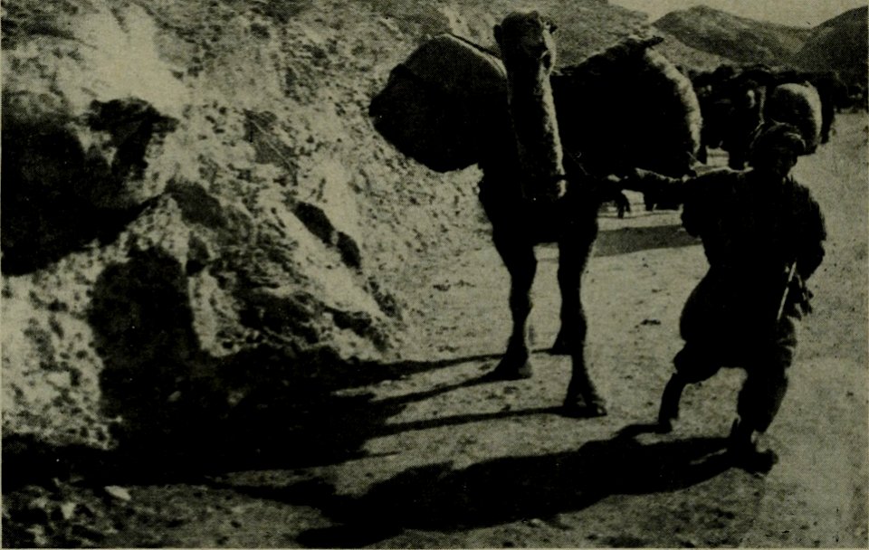 The American annual of photography (1911) (14781105824)