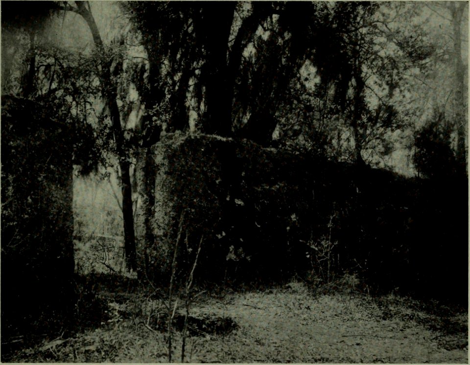 The American annual of photography (1914) (14593814608)