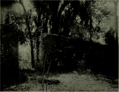 The American annual of photography (1914) (14593814608)