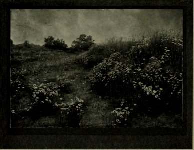 The American annual of photography (1911) (14760480556)