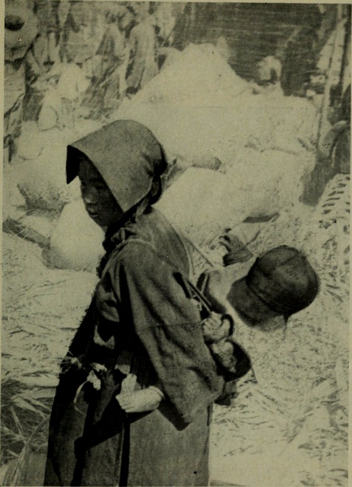 The American annual of photography (1911) (14783111542)