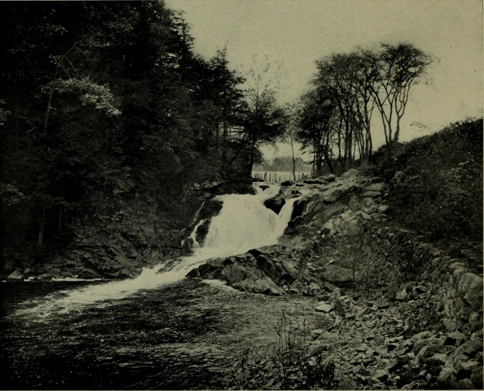 The American annual of photography (1911) (14783342185)